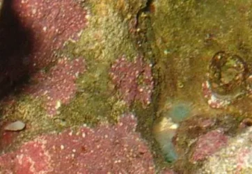 IMGP1354.webp