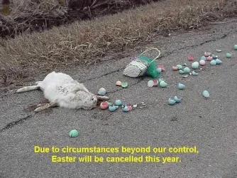 Easter11.webp