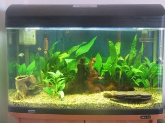 Tank_002.webp