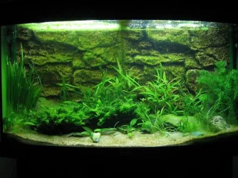 tank_001.webp tank_001.webp