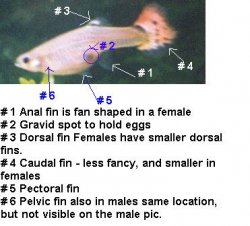 123aaa.jpg