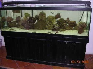 tank1.webp