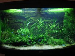 tank_003.JPG tank_003.JPG
