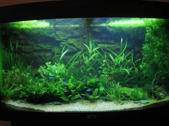 tank_003.webp tank_003.webp