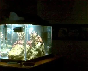 side_of_tank.webp
