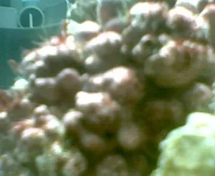 014.webp