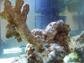 100_1532.webp 100_1532.webp