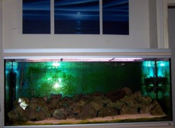 brackish_new_1.jpg brackish_new_1.jpg