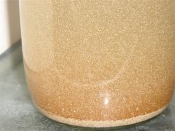Brine_Shrimp_hatched__Small_.JPG Brine_Shrimp_hatched__Small_.JPG