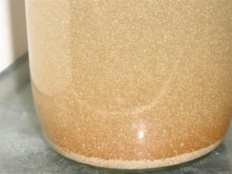 Brine_Shrimp_hatched__Small_.webp Brine_Shrimp_hatched__Small_.webp
