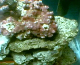 010.webp