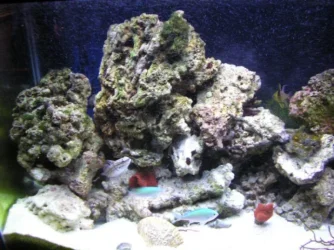 resize2.webp