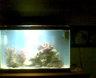 3_19_07.webp 3_19_07.webp