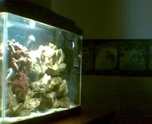 side_of_tank_3_20.webp side_of_tank_3_20.webp