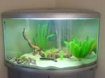 TANK_2.webp