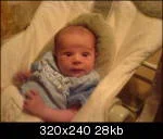 5.webp