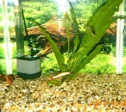 PICT0047.webp