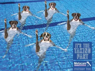 swim_2.webp