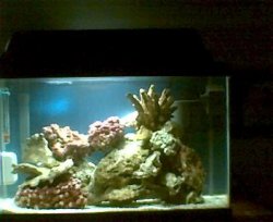 3_28_07.jpg_full_tank.jpg