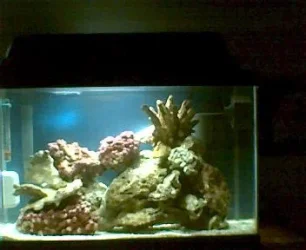 3_28_07.jpg_full_tank.webp 3_28_07.jpg_full_tank.webp