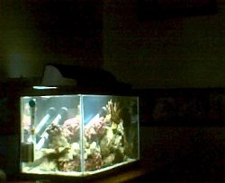 3_28_07.jpg3.jpg