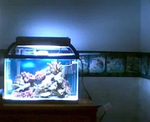 new_light_1.webp