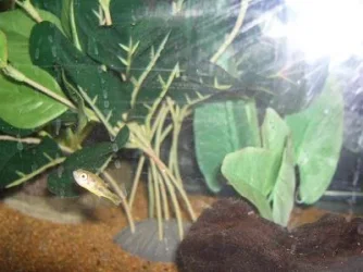 CIMG3390.webp