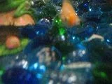 fishes_00003.webp