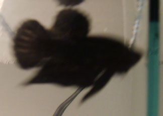 S5000129.jpg S5000129.jpg