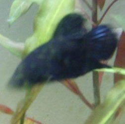 S5000116.jpg S5000116.jpg