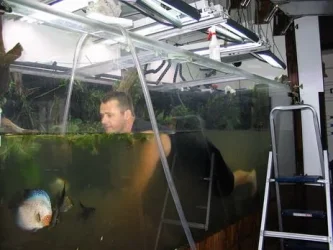 tom_in_tank_85resized.webp