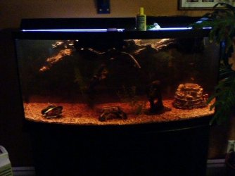 tank1.JPG