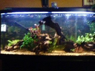 tank2.JPG