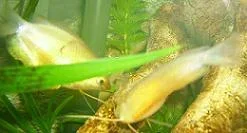 IMGP0140_1_.webp
