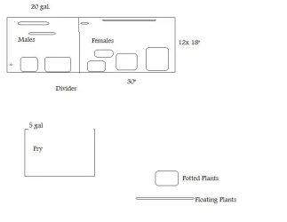 Plans.webp Plans.webp