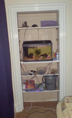 Tank_small.webp