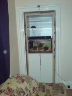 Tank_complete.webp