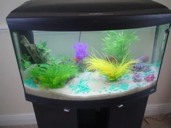 tank2.webp