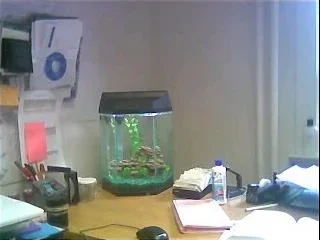 Office_View.webp