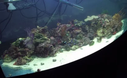 newtank2.webp