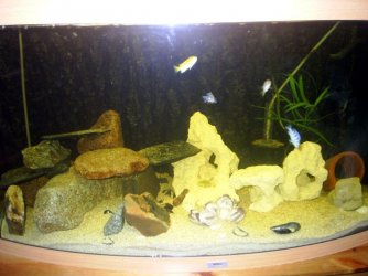 pic_4.jpg