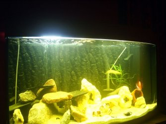 pic_5.jpg