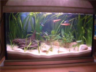 10_gall_tank_006.jpg