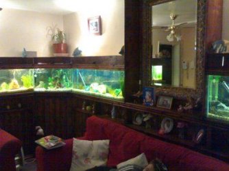 newtanks3.jpg newtanks3.jpg