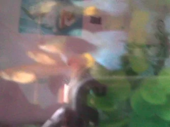 Image005.webp