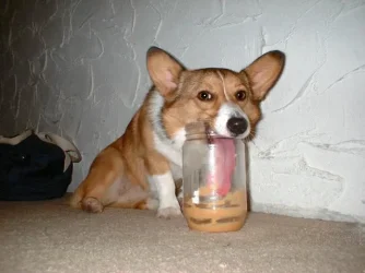 image003.webp