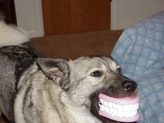 image015.webp