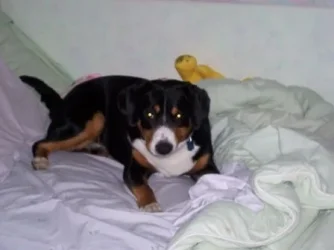 100_0150.webp