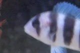 100_1049.webp