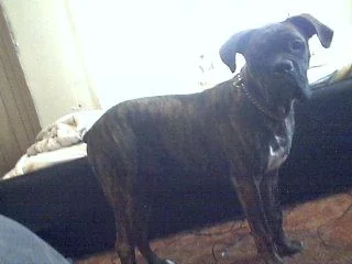 Picture_11.webp